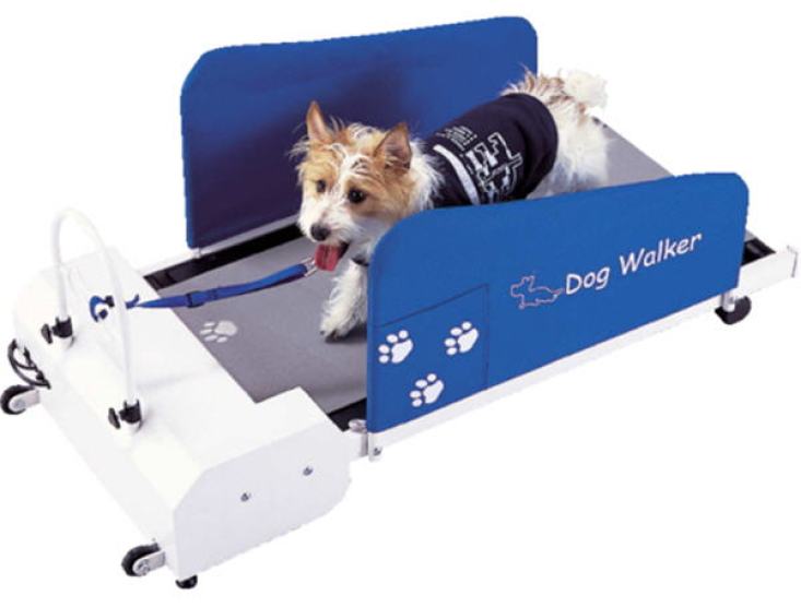 Image result for automatic dog walker